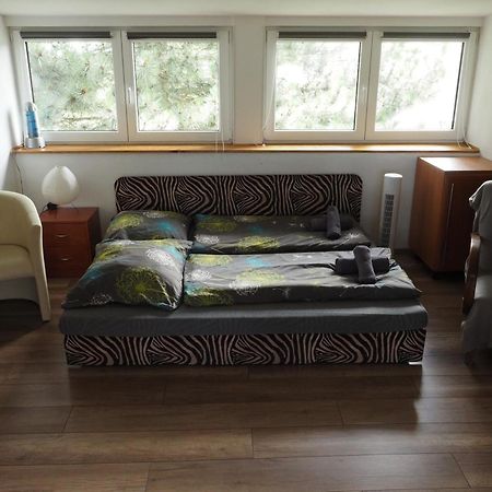 Apartman U Borovice Bílá Třemešná Exteriör bild